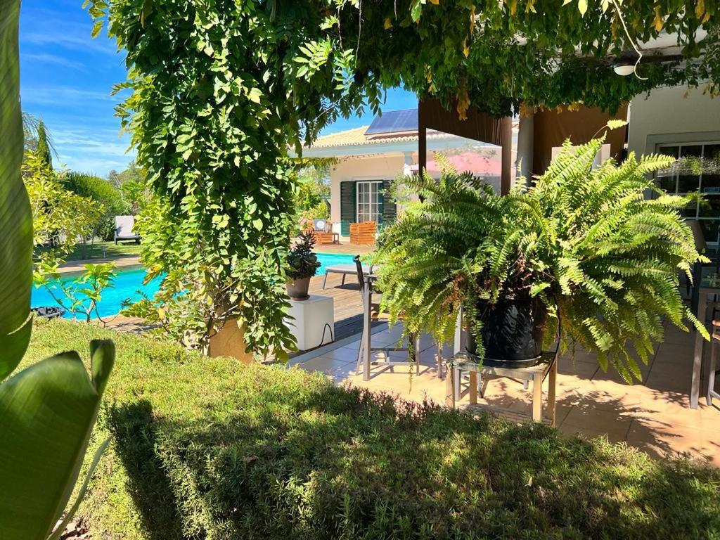 Buganvilias Do Meco Guest House Sesimbra Exterior photo
